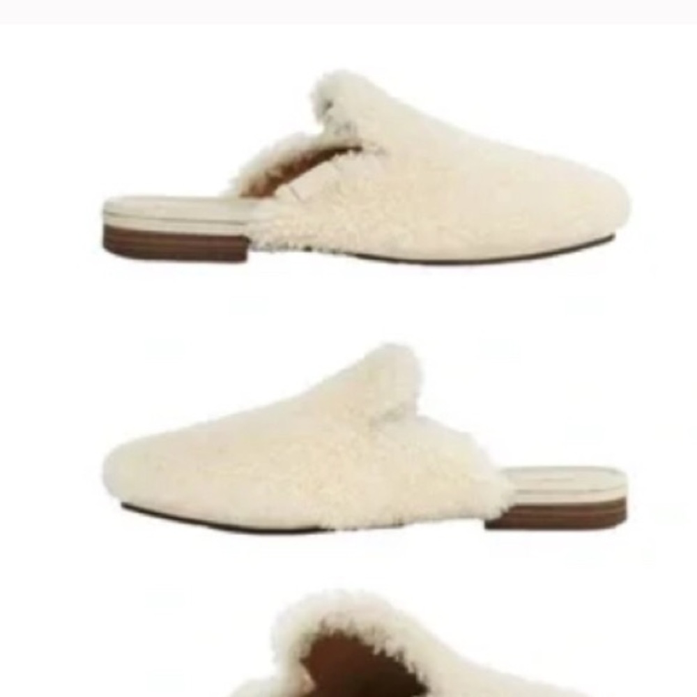 UGG Women's Jayna Sherpa Mules